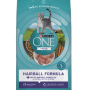Purina ONE Hairball